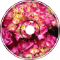 Bloomin