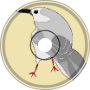 Mocking Bird