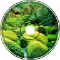 Bongo's Jungle