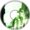 Aster - Depiction Of ℝ-Ealty