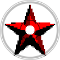 Dying Red Army