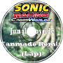 Jungle Joyride - Lap (CrossWorlds Remix)