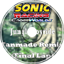 Jungle Joyride - Final Lap (CrossWorlds Remix)