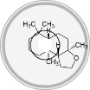 FSIM-#2-C16H28O-25-I/H