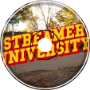 Streamer University