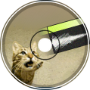 cat beat