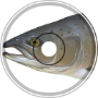 Killer Salmon