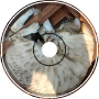 happy cat