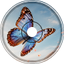 Butterfly in the Wind