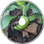 SPROUTED POCKET-WATCH (Audio Log)