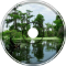 By the Bayou