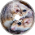 A Little Mouse in Love - NGUAC2026 Final Round Submission