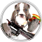 puppieswguns