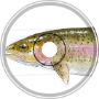 [SAFETY SALMON, RENEWER OF SOULS.]