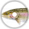 [SAFETY SALMON, RENEWER OF SOULS.]