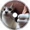 Pulsewidth