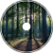 Walkthrough In The Woods