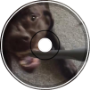 chase sequence