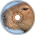 Capybara
