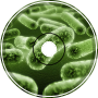 Bacteria Music