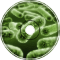 Bacteria Music