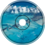 Kami | Coastal Contrast