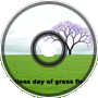Endless Day of Grass Fiel
