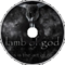 Ruin ( Lamb of God Cover)