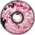 Distorted Sakura(WIP)