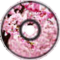 Distorted Sakura