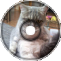 Bonze Trap