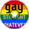 Gay Straight Whatever