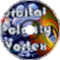 Orbital Polarity Vortex