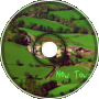 New Town