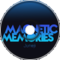 Magnetic Memories