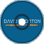 Sonic 3 - Hydrocity Act 1 (David Orton Remix)