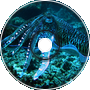 MollusK - Cuttlefish