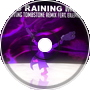 It's Raining Men Remix - The Living Tombstone ft. Eilemonty