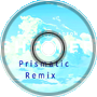 Shelter (Prismatic Remix)