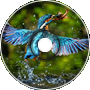 Waterbird (re-imagined)