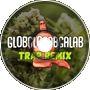 Globglogabgalab (FlashYizz Remix)