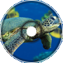 SP34K3R M4N - Sea Turtle (Original Mix)