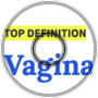 Urban Dictionary: Vagina Synonyms Rap