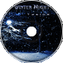 TeslaX - Winter Night