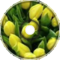 Yellow Flowers - Ebanko