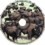 You Can't Travel Through A Herd of Bison