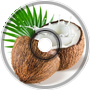 Electrometa - Coconut