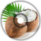 Electrometa - Coconut