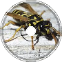 -Paper Wasps VIP-