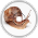 Jetpack Snail